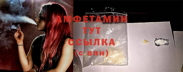 PSILOCYBIN Аркадак