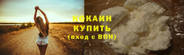 стаф Армянск