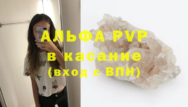 PSILOCYBIN Аркадак
