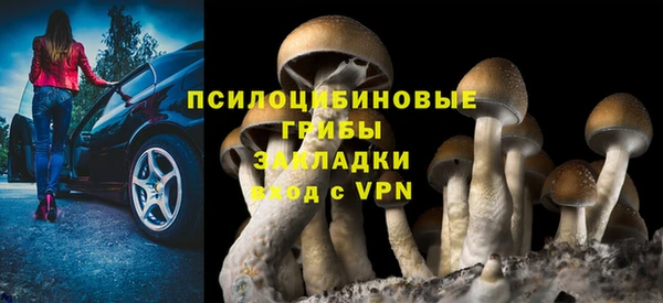 PSILOCYBIN Аркадак