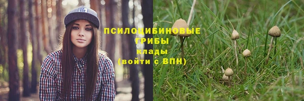 трава Баксан