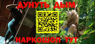 мдпв Бийск