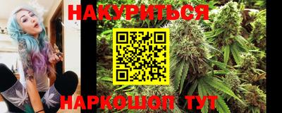 мдпв Бийск