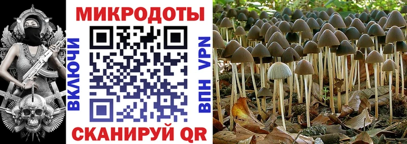 Галлюциногенные грибы мухоморы  Кировск 