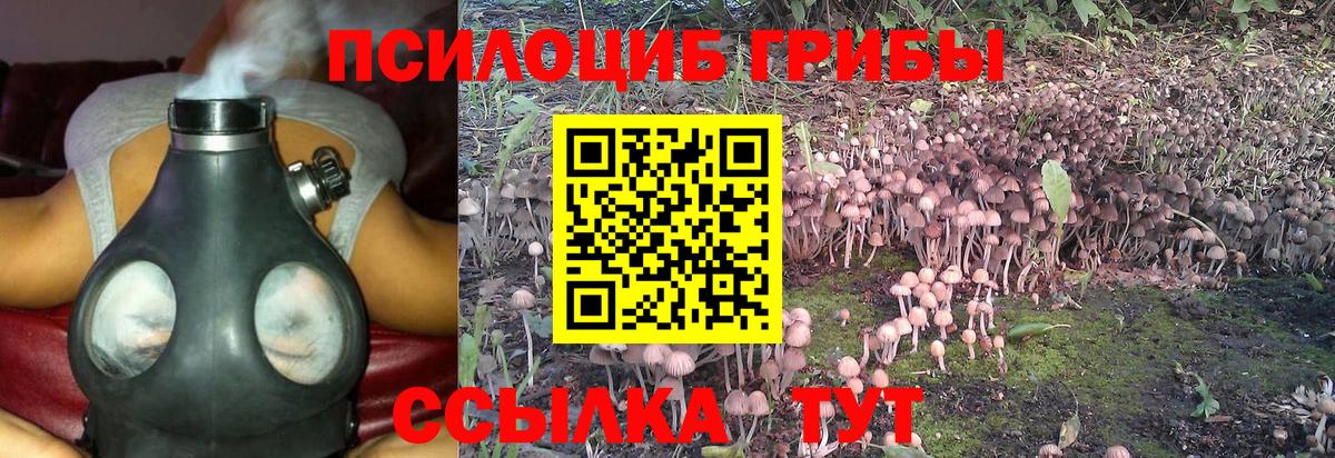 Галлюциногенные грибы GOLDEN TEACHER Кировск